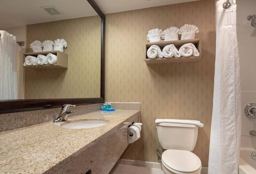 Люкс, Holiday Inn Express Stony Brook Long Island, An Ihg