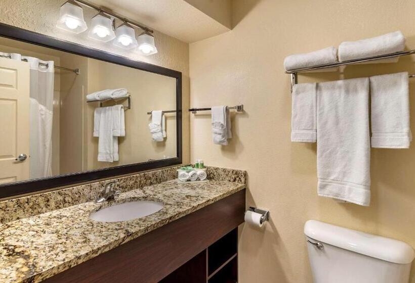 Люкс Кровать Кинг, Comfort Inn & Suites Dahlonega University Area