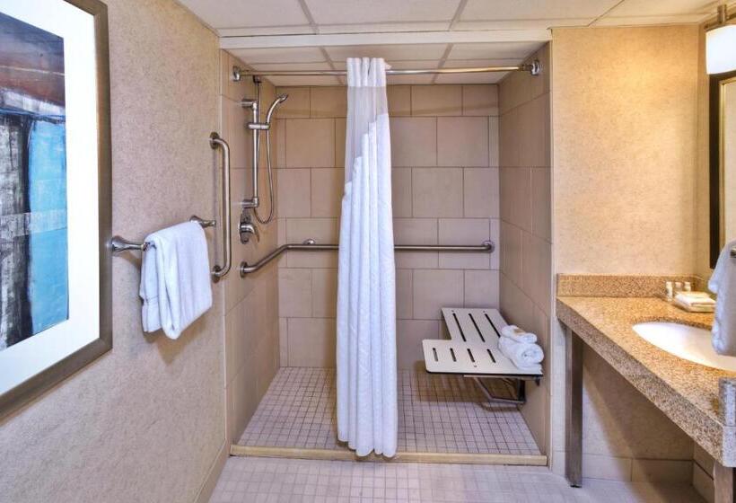 Номер Стандарт Адаптированный для Инвалидов, Holiday Inn Detroit Northwest   Livonia, An Ihg