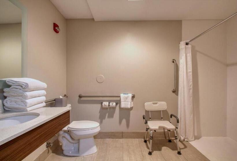 Номер Стандарт Адаптированный для Инвалидов, Holiday Inn Express Hotel & Suites Oshkosh   State Route 41, An Ihg