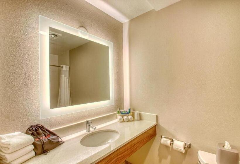 Номер Стандарт Адаптированный для Инвалидов, Holiday Inn Express Hotel & Suites Oshkosh   State Route 41, An Ihg