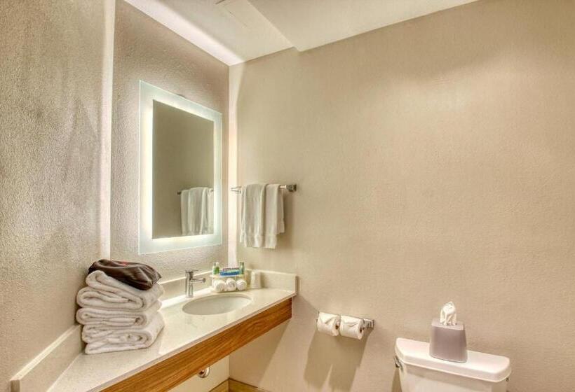 Люкс Повышенной Комфортности, Holiday Inn Express Hotel & Suites Oshkosh   State Route 41, An Ihg