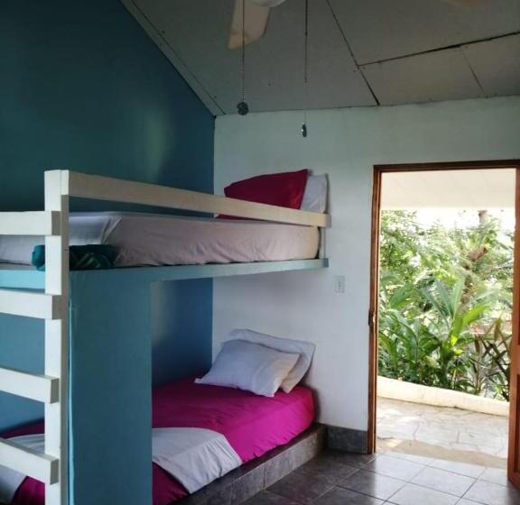 4인용 스탠다드 룸, Boca Brava Lodge