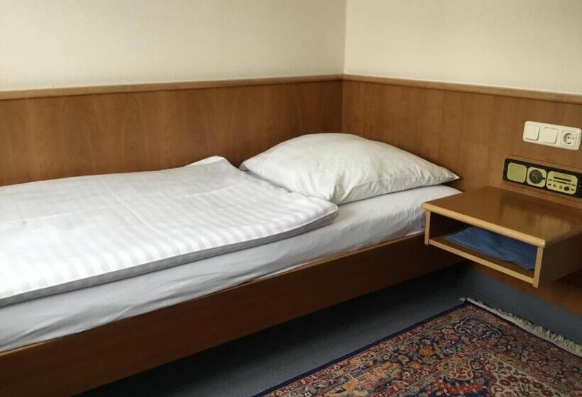 Номер Deluxe Одноместный, Lindenhof