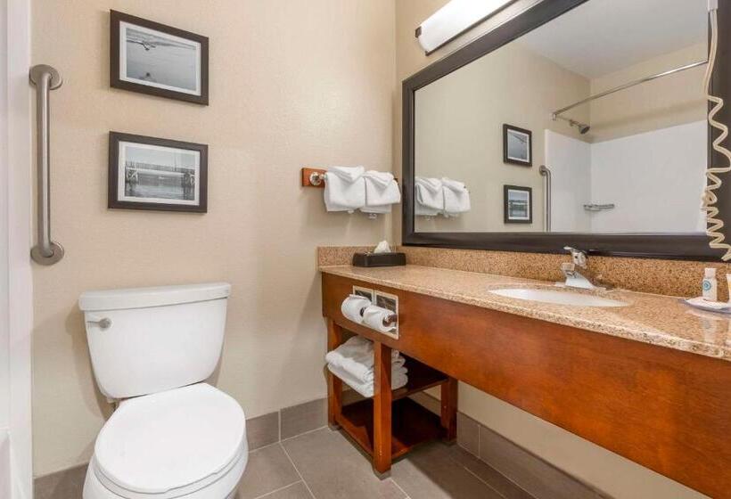 带大床的标准间, Comfort Inn Arcata