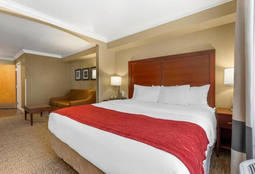 带大床的套房, Comfort Inn Arcata