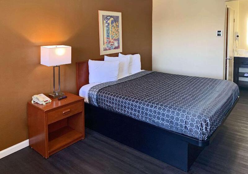 스탠다드 룸 킹사이즈 침대, Rodeway Inn Sacramentouniversity Area