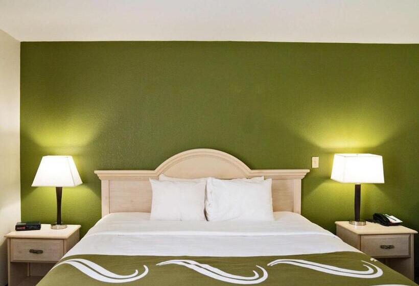 스탠다드 룸 킹사이즈 침대, Quality Inn Seymour I65