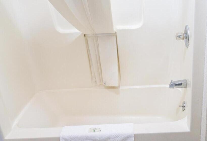 스탠다드 룸, Quality Inn Seymour I65