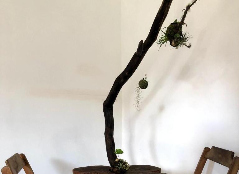 수피리어 스위트, Pousada Atelier Aly Da Costa
