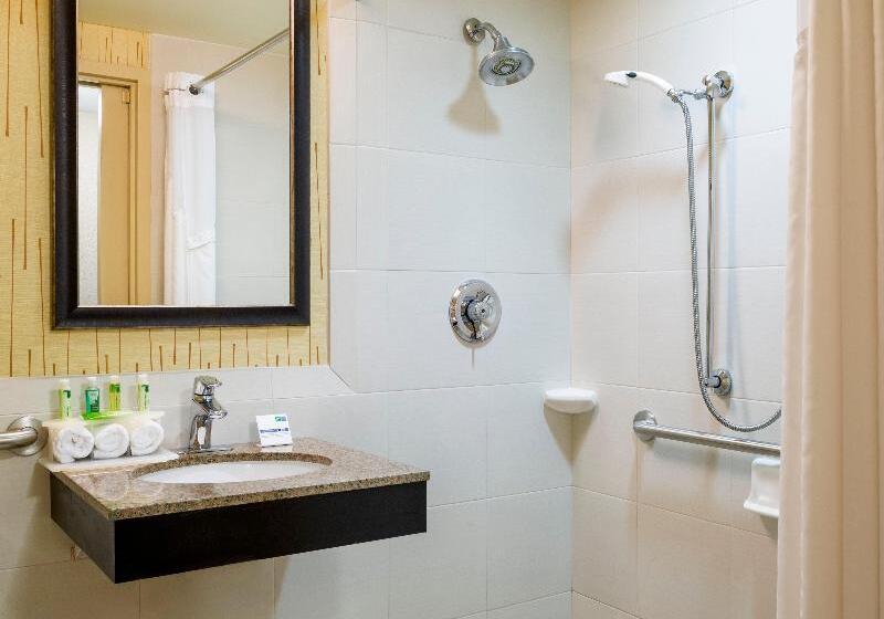 Номер Executive Кровать Кинг, Holiday Inn Express Frazer   Malvern, An Ihg