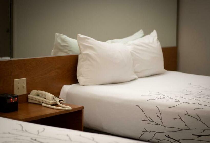 스탠다드 룸, Monument Inn & Suites