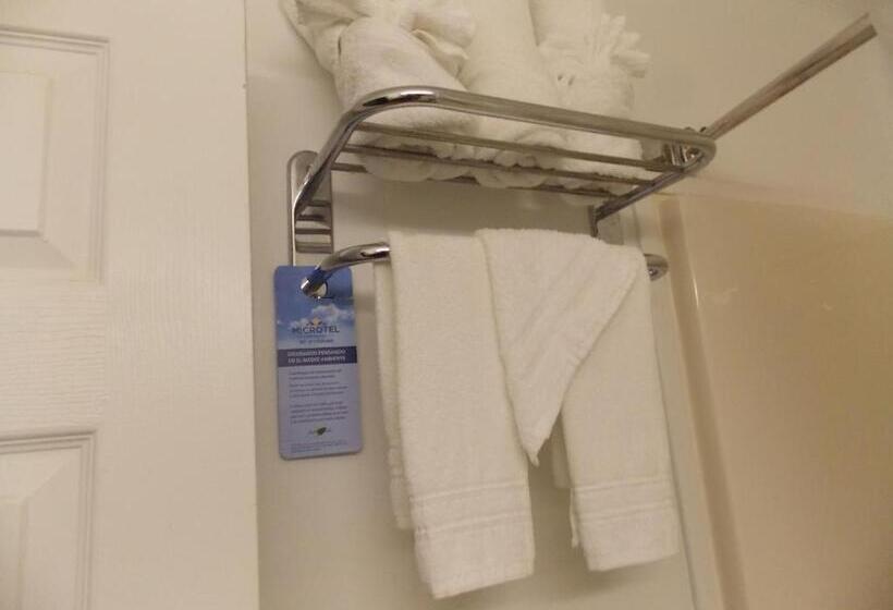 身障者適用スタンダードルーム, Microtel Inn By Wyndham Athens