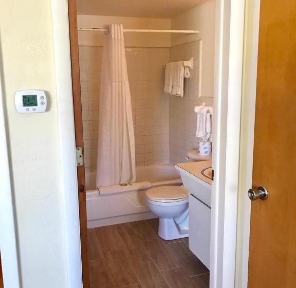 سوییت, The Molloy   Treasure Island Suites & Cottages
