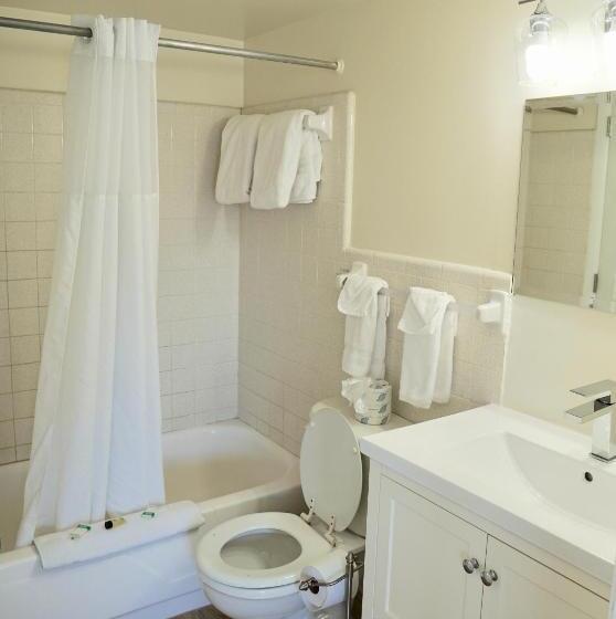 سوییت, The Molloy   Treasure Island Suites & Cottages
