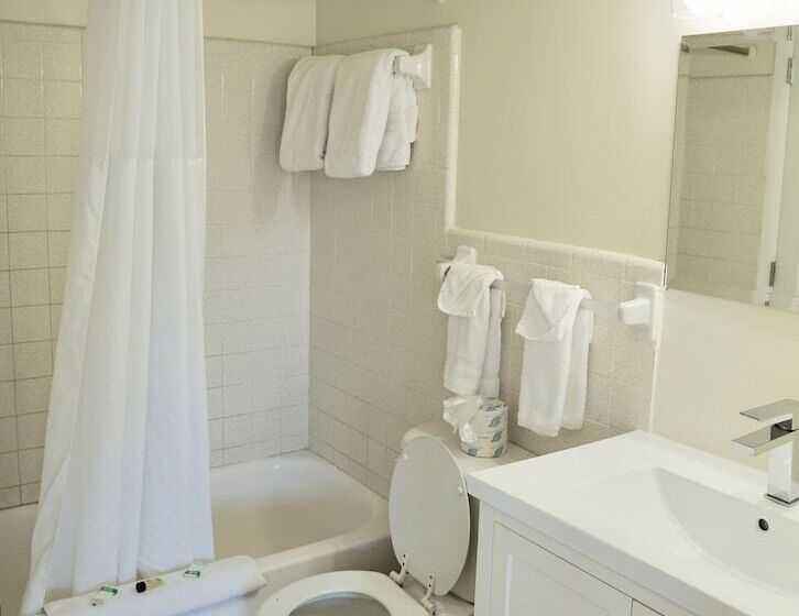 سوئیت با چشم‌انداز, The Molloy   Treasure Island Suites & Cottages