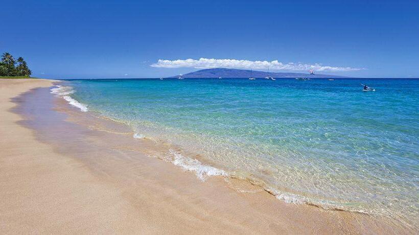 آپارتمان لوکس 1 خوابه, Maui Vista
