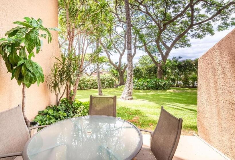 آپارتمان 1 خوابه با بالکن, Maui Vista