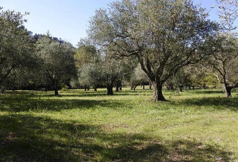 Люкс 2 Спальни, La Bastide De La Provence Verte, Chambres D Hôtes
