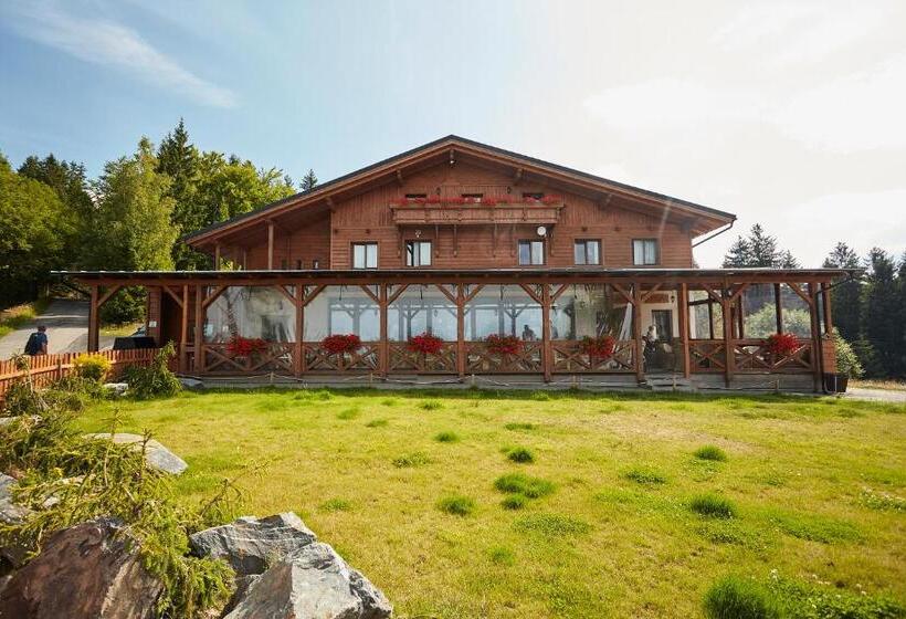 Апартаменты 1 Спальня, Wellness Aparthotel Martiňák