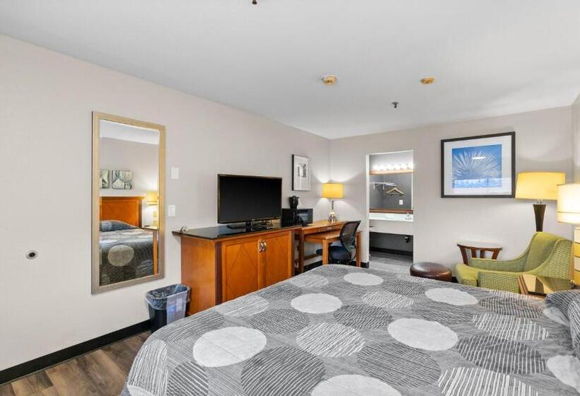 스탠다드 룸 킹사이즈 침대, Basecamp Puyallup A Travelodge By Wyndham