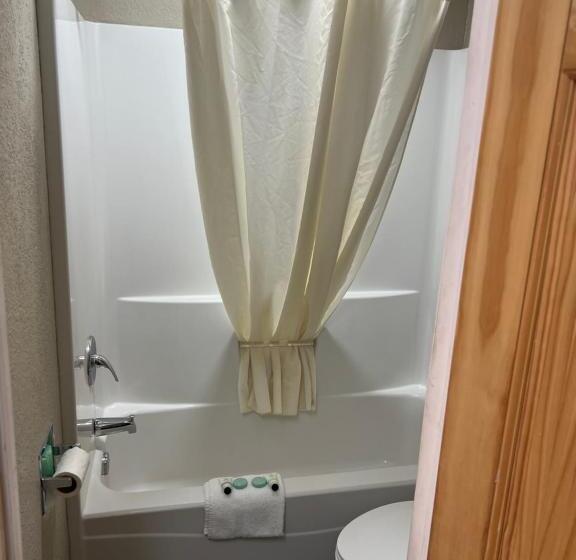 اتاق استاندارد با تخت بزرگ, Westbridge Inn And Suites