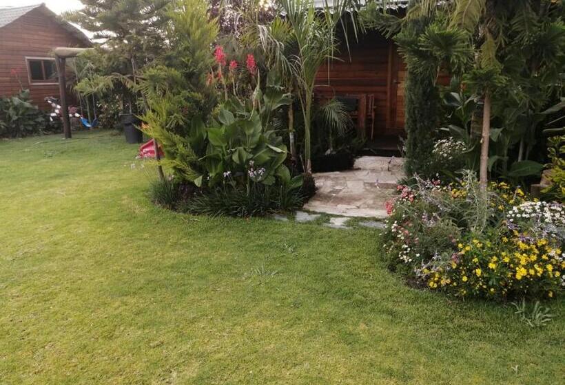 デラックスルーム, Cabañas La Finca 2