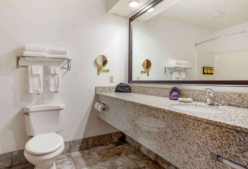 Люкс Адаптированный для Инвалидов, Best Western Plus Eau Claire Conference Center
