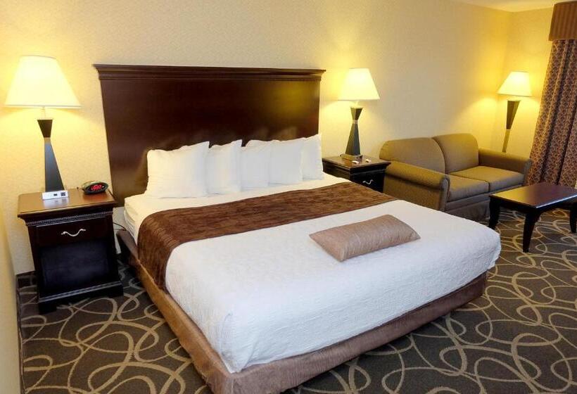 Стандартный Номер Кровать Кинг, Best Western Plus Eau Claire Conference Center