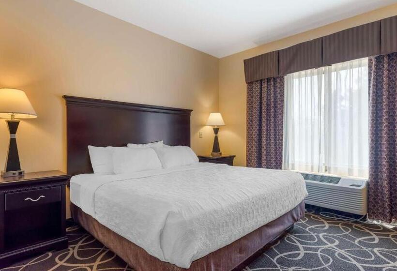 Стандартный Номер Кровать Кинг, Best Western Plus Eau Claire Conference Center