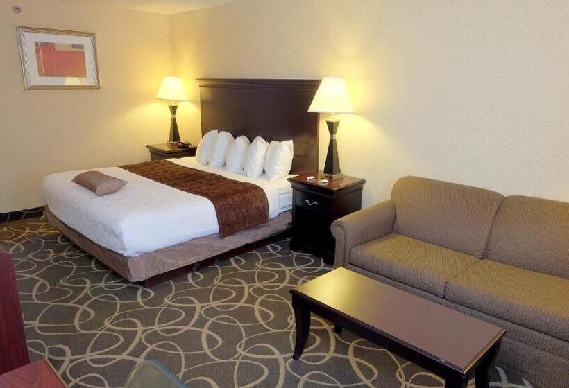 Номер Стандарт Кровать Кинг Адаптированный для Инвалидов, Best Western Plus Eau Claire Conference Center