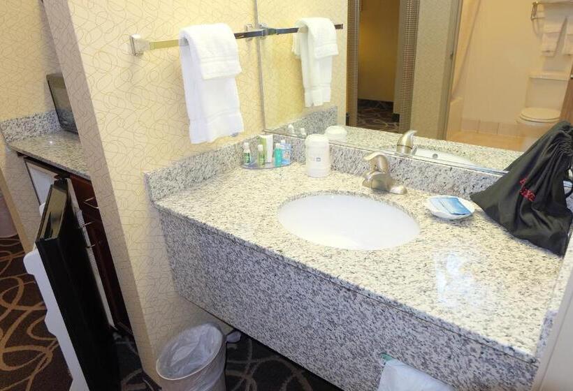 Люкс, Best Western Plus Eau Claire Conference Center