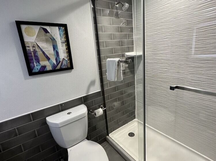 스탠다드 룸 더블 침대 2개, Holiday Inn Express   Dallas Downtown, An Ihg