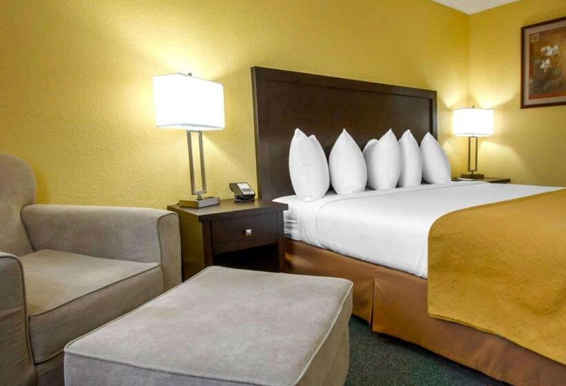 스탠다드 룸 킹사이즈 침대, Quality Inn & Suites