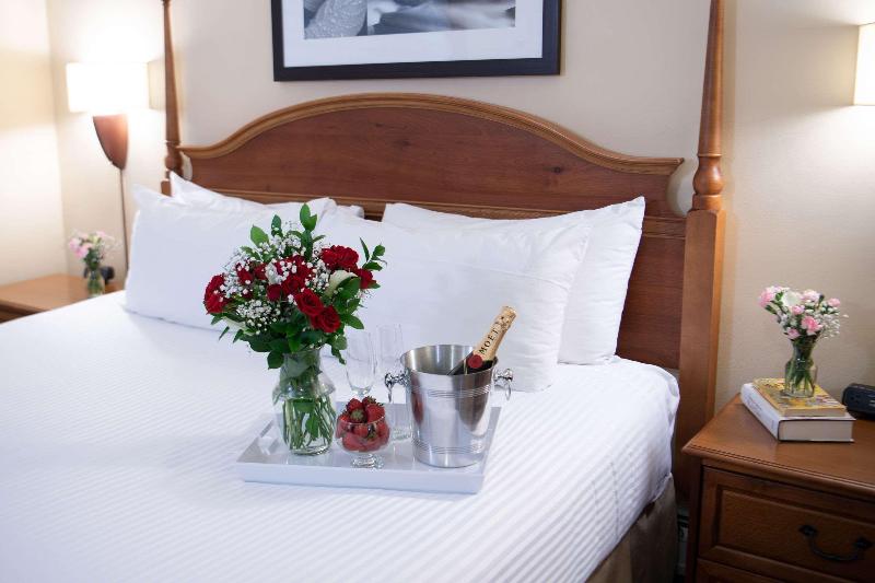 سوئیت با تخت بزرگ, Port Inn And Suites Portsmouth, Ascend Hotel Collection