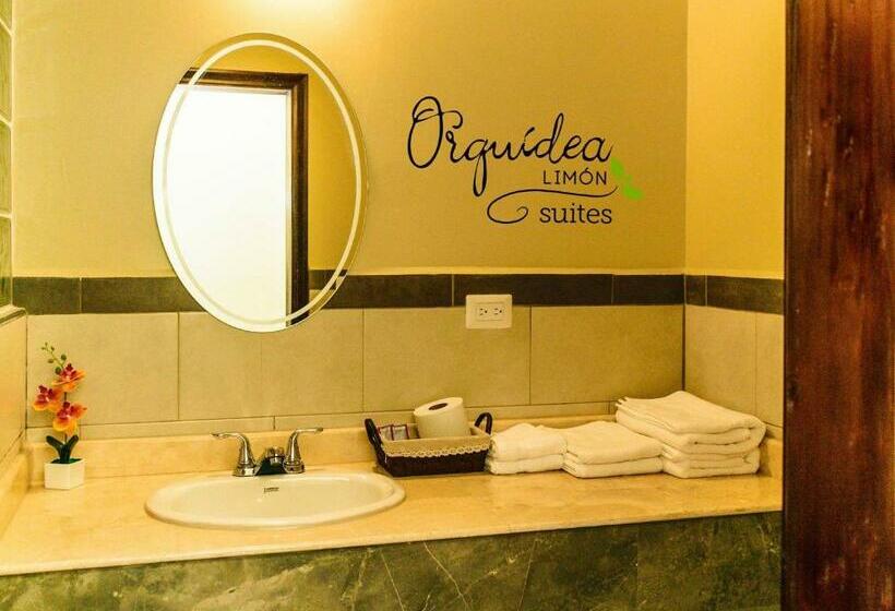 Habitación Deluxe, Orquidea Limon Hotel Boutique