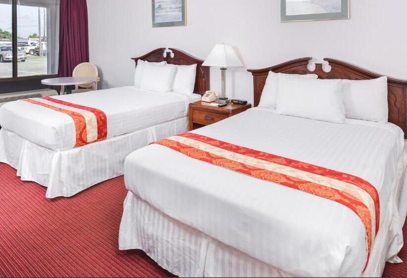 经济房, Motel Zuma