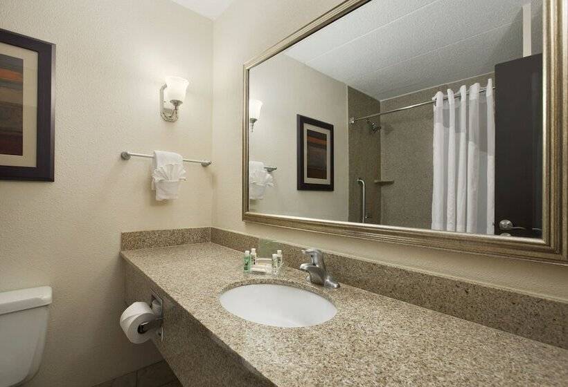 스위트, Holiday Inn And Suites Charleston West, An Ihg