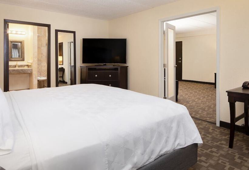 스탠다드 룸, Holiday Inn And Suites Charleston West, An Ihg