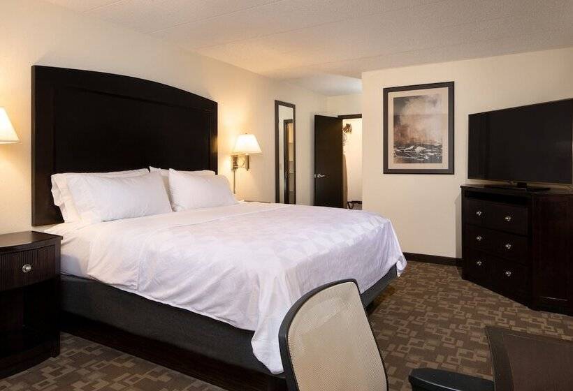 스위트, Holiday Inn And Suites Charleston West, An Ihg
