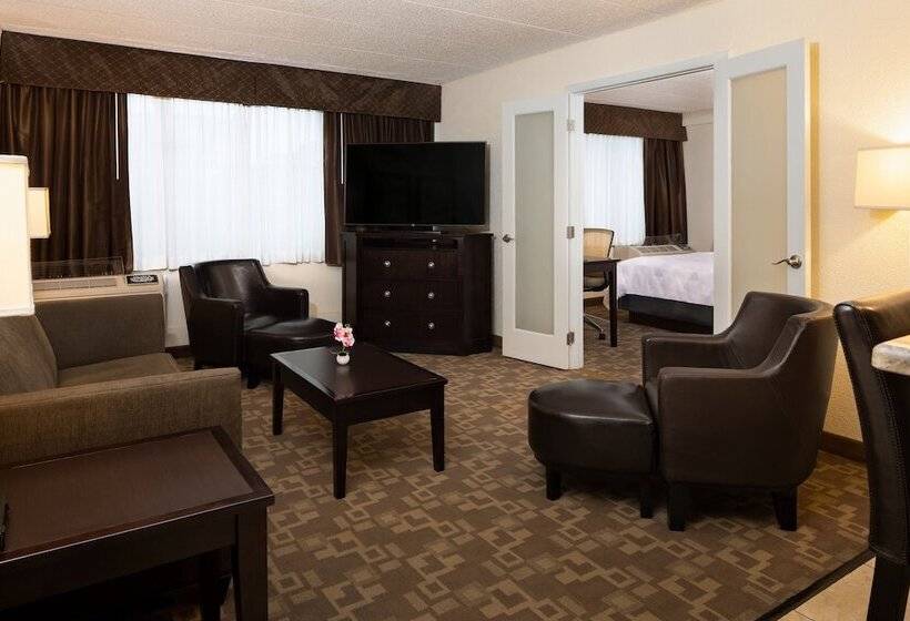 장애인을 위한 스위트, Holiday Inn And Suites Charleston West, An Ihg