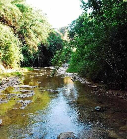 اتاق استاندارد, Rural Hd Riudebitlles Art I Allotjament
