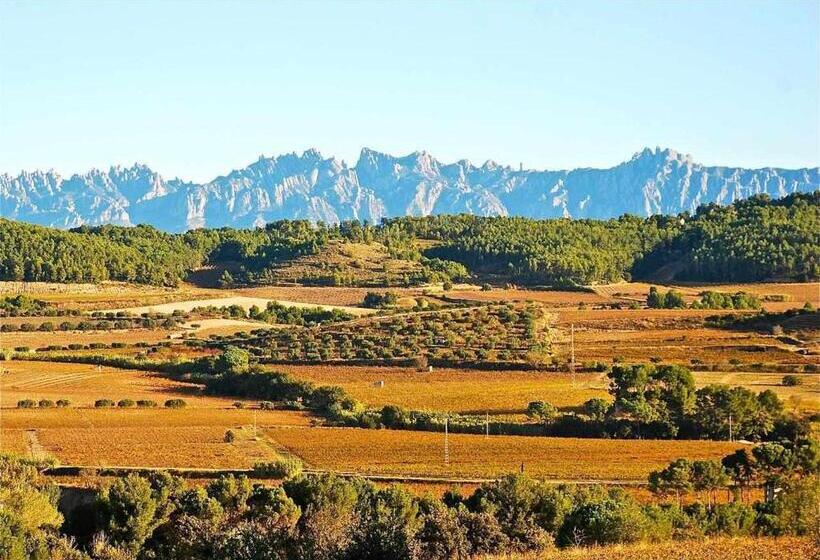 اتاق لوکس, Rural Hd Riudebitlles Art I Allotjament