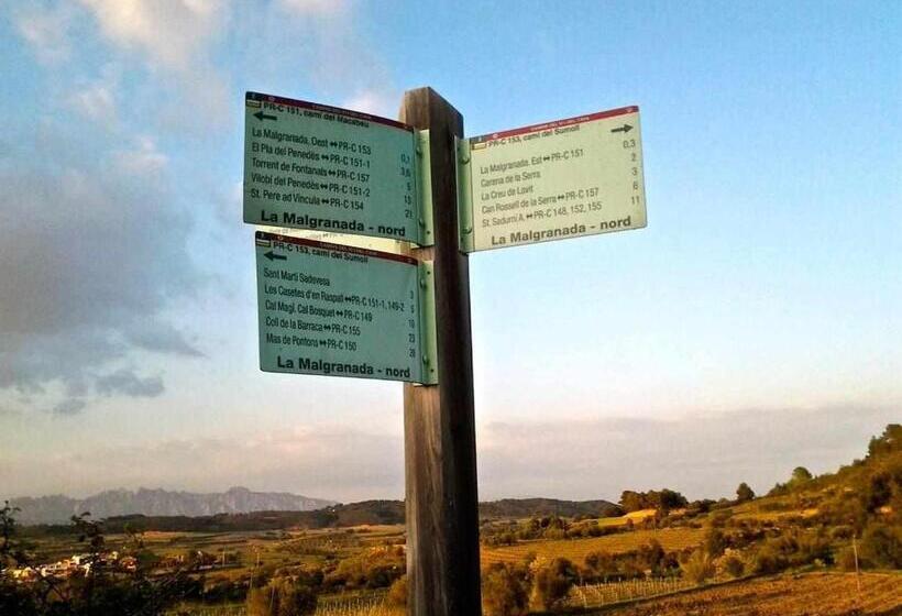 اتاق لوکس, Rural Hd Riudebitlles Art I Allotjament