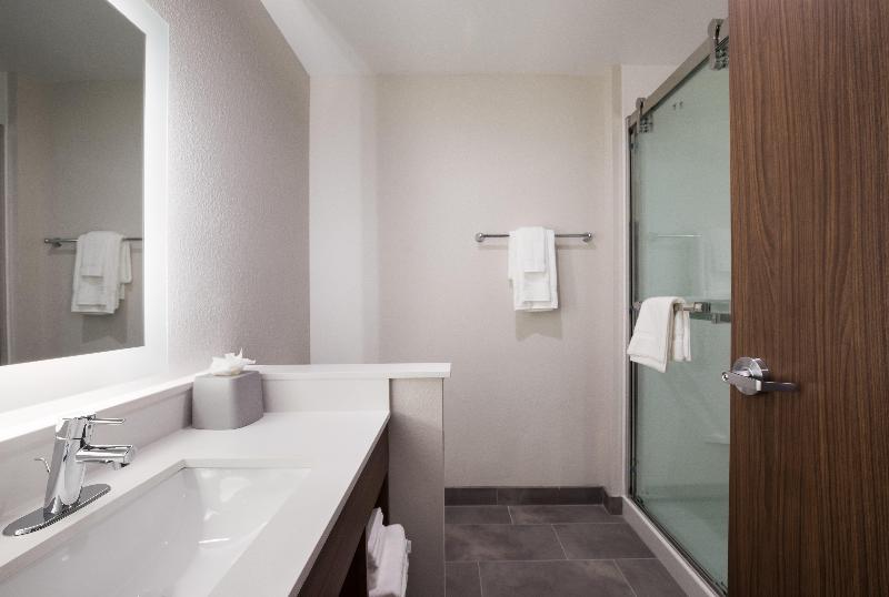 带大床的标准间, Holiday Inn Express & Suites Chicago   Hoffman Estates, An Ihg