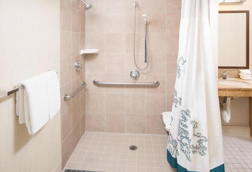 Студия Стандарт, Residence Inn Denver Tech Center