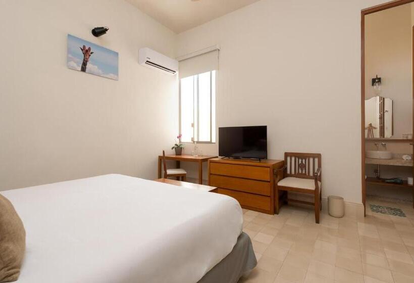 اتاق سوپریور با تخت بزرگ, Villa Orquidea Boutique