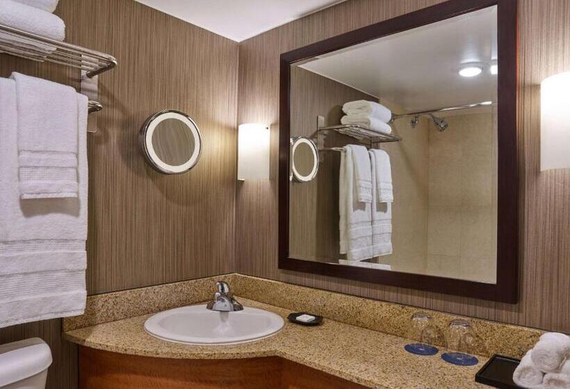 Quarto Estandar para Deficientes Físicos, Courtland Grand Hotel, Trademark Collection By Wyndham Former Sheraton Atlanta