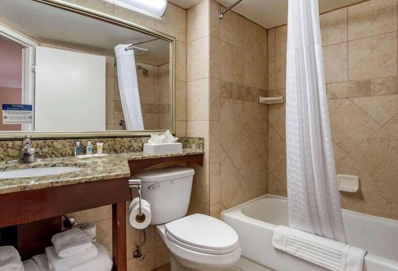 스탠다드 룸 더블 침대 2개, Comfort Inn Birmingham Homewood