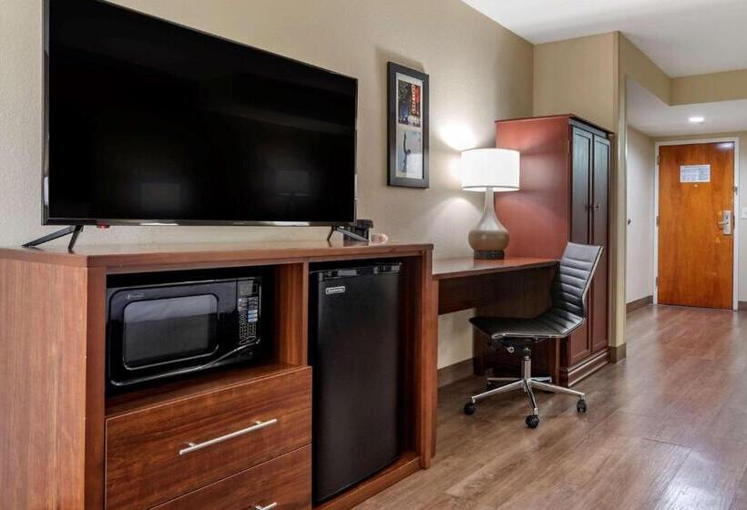 장애인을 위한 킹사이즈 침대 스탠다드 룸, Comfort Inn Birmingham Homewood